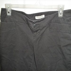 ladies size 6P gray Coldwater Creek modern fit chino pants cotton spandex